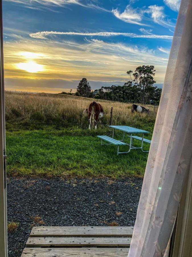 White Caps Kaikoura Farmstay Bagian luar foto